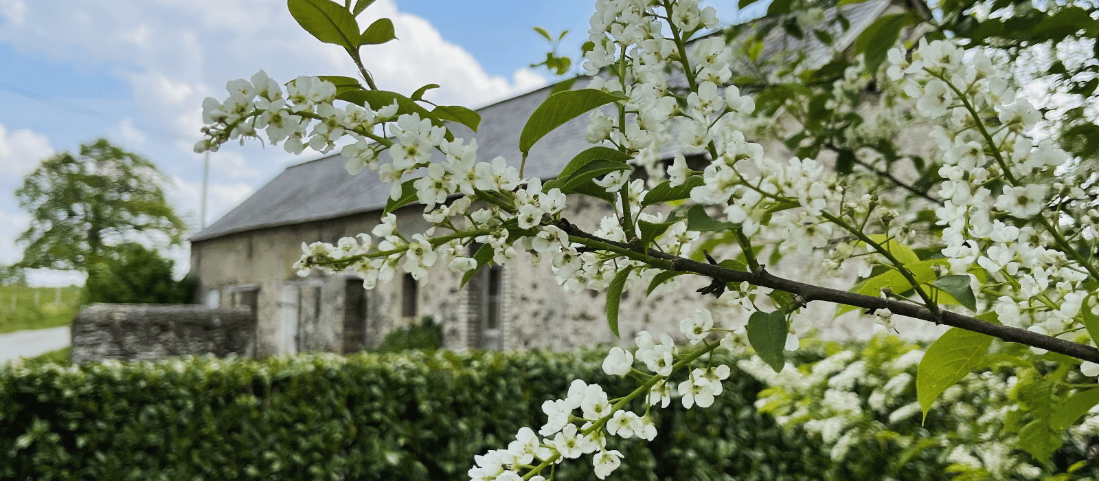 Image gîte de la Jaguelinière